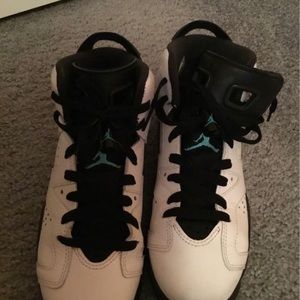 Air Jordan 6 Teal